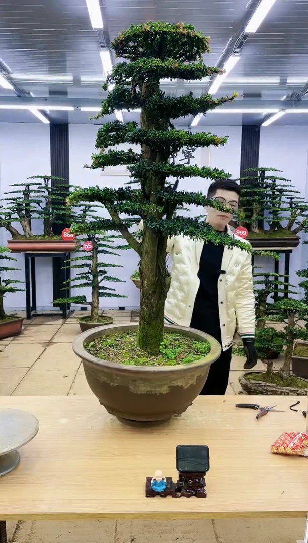 【闪购商品】0000000000