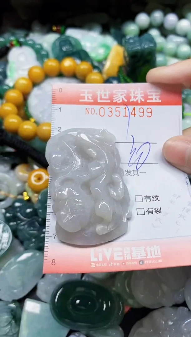 颈饰未镶嵌翡翠翡翠闪购Y0351499