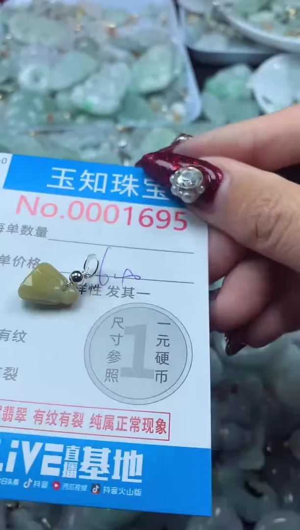颈饰未镶嵌翡翠1695