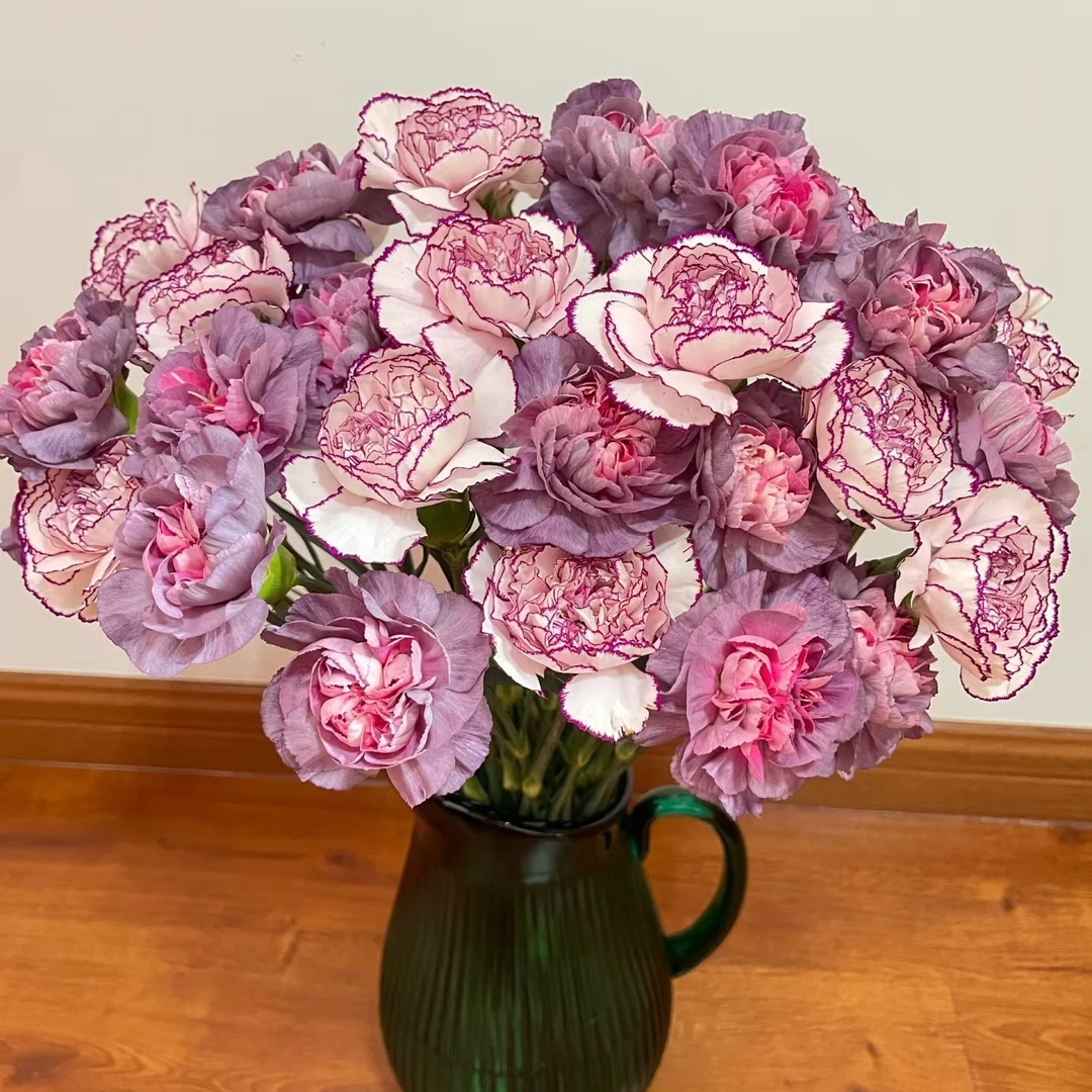 康乃馨野马+紫精灵 【任意两单及两单以上鲜花顺丰包邮发货】