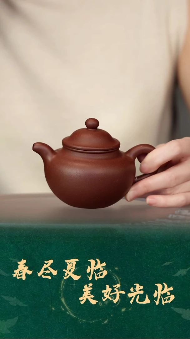 17号ZSC莲子底槽清紫砂壶