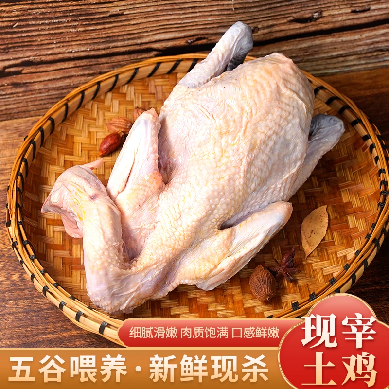 【四川凉山散养土鸡】林间散养跑山鸡肉质紧实有嚼劲 包冰率不含冰