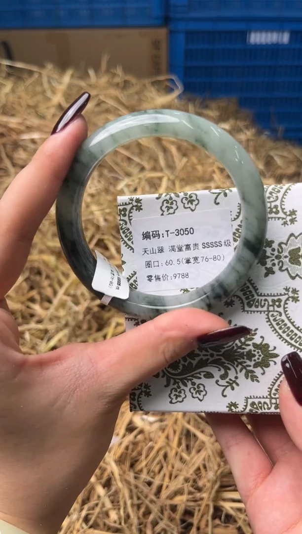 未镶嵌手镯石英质玉T-3050