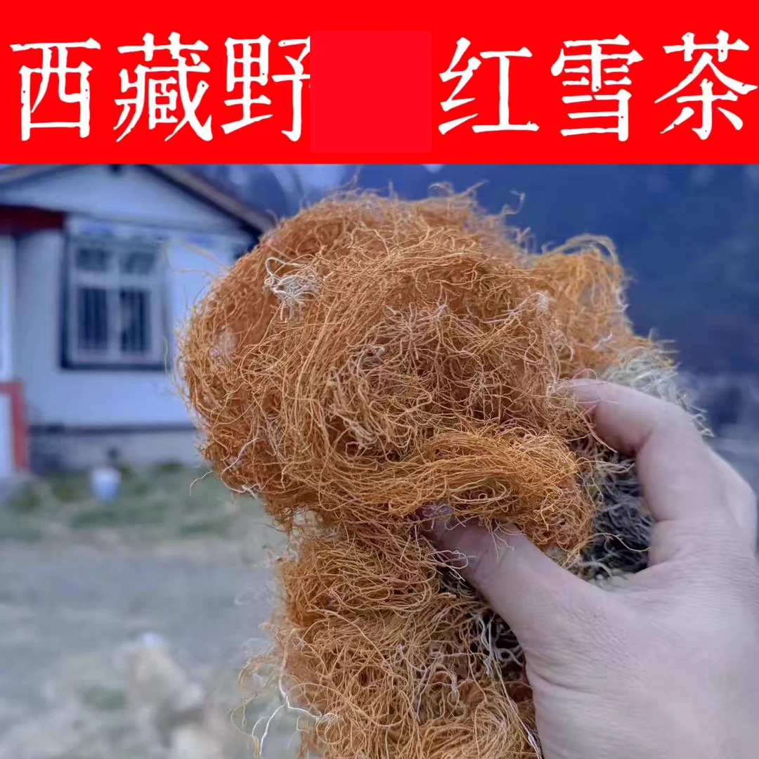 【藏雪茶】藏雪茶高海拔红色茶 高山新采摘无提取无硫熏