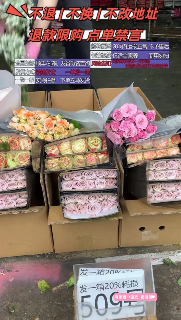 509号♥含20%耗损发一箱