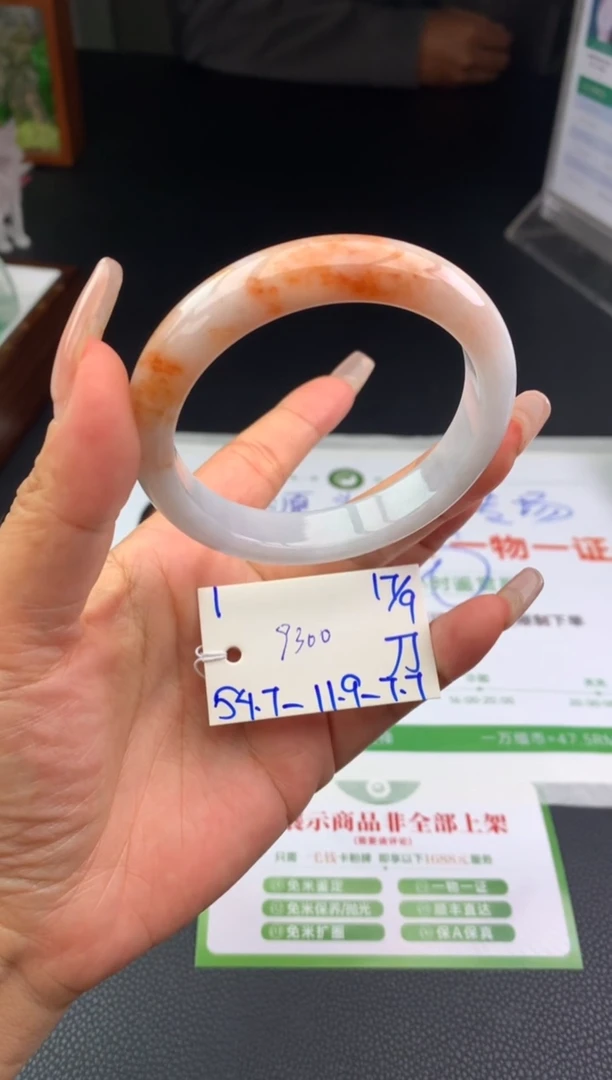 未镶嵌手镯翡翠R****o手镯