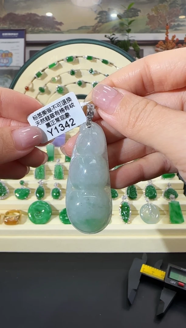 颈饰18K金镶嵌翡翠Y1342富贵豆