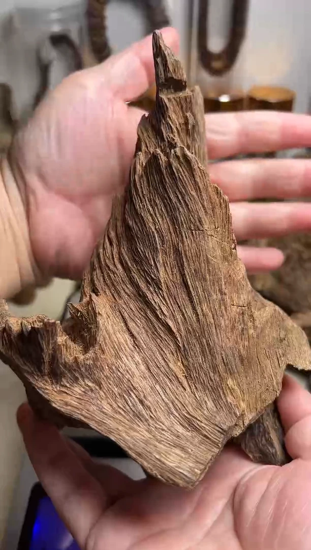 沉香沉香碎屑加里曼丹沉香79克