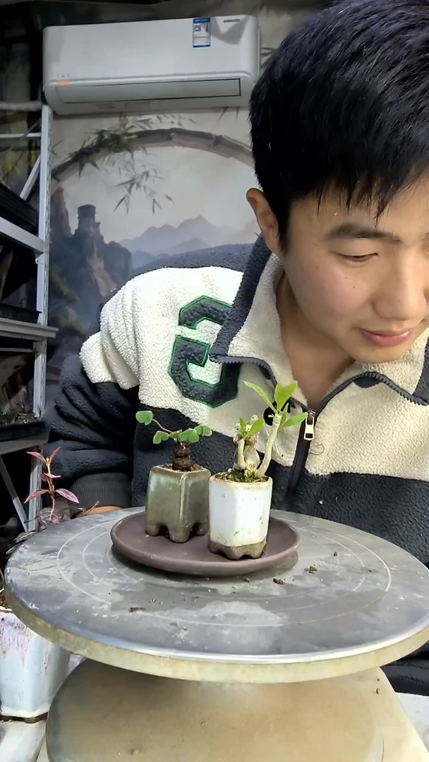 诺*中青园艺一物一拍花18