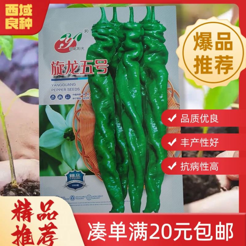 【1000粒旋龙5号】陇椒种子，太空旋龙改良品种，辣味香浓产量高