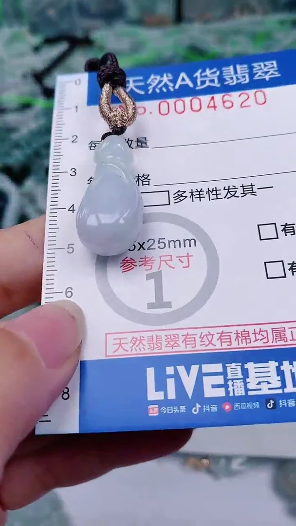 【闪购商品】翡翠颈饰未镶嵌00004620