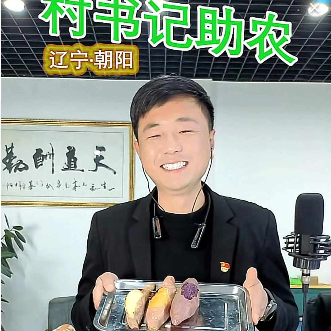 烟薯25哈密紫薯朝阳特产正宗糖流油蜜薯新鲜红薯软糯香甜聚糖聚蜜