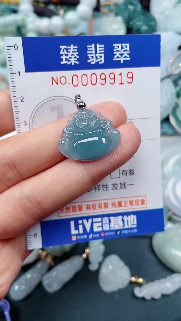 颈饰未镶嵌翡翠.0009919