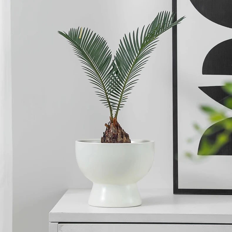 北欧陶瓷花盆高脚家用创意奶油风轻奢高级感多肉蝴蝶兰专用盆