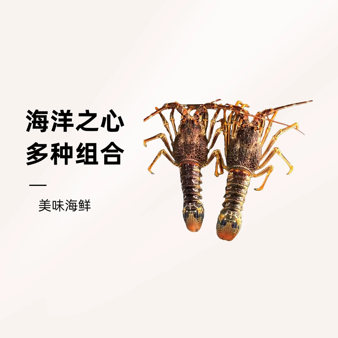 海鲜大礼包（小青龙2只、小龙虾1份、小海螺1份、大黄鱼1条、鲍鱼生蚝各10只、花甲蛏子各1份）