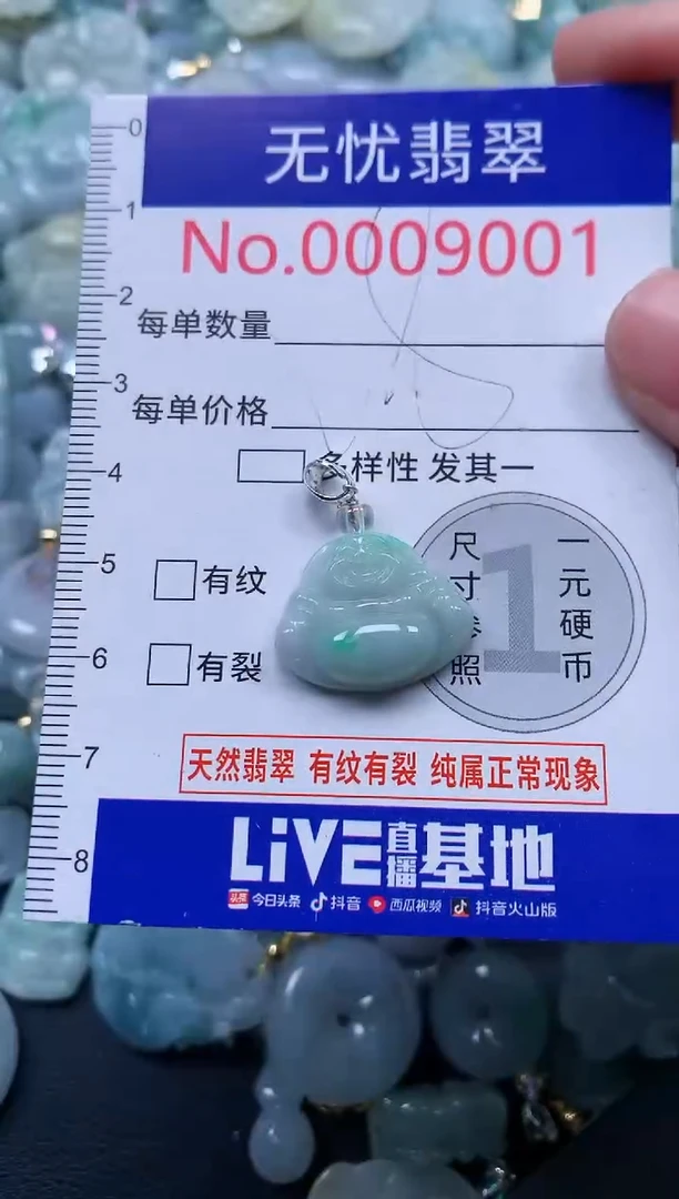 颈饰未镶嵌翡翠9001