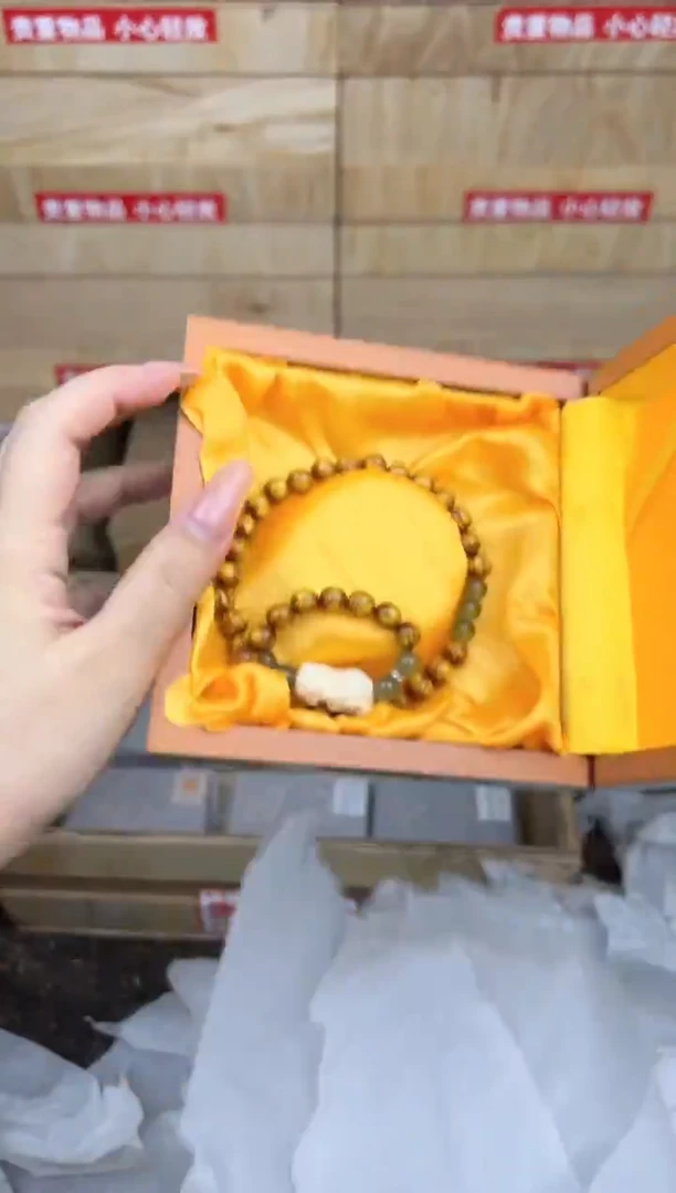 金丝海柳双圈@@sp366