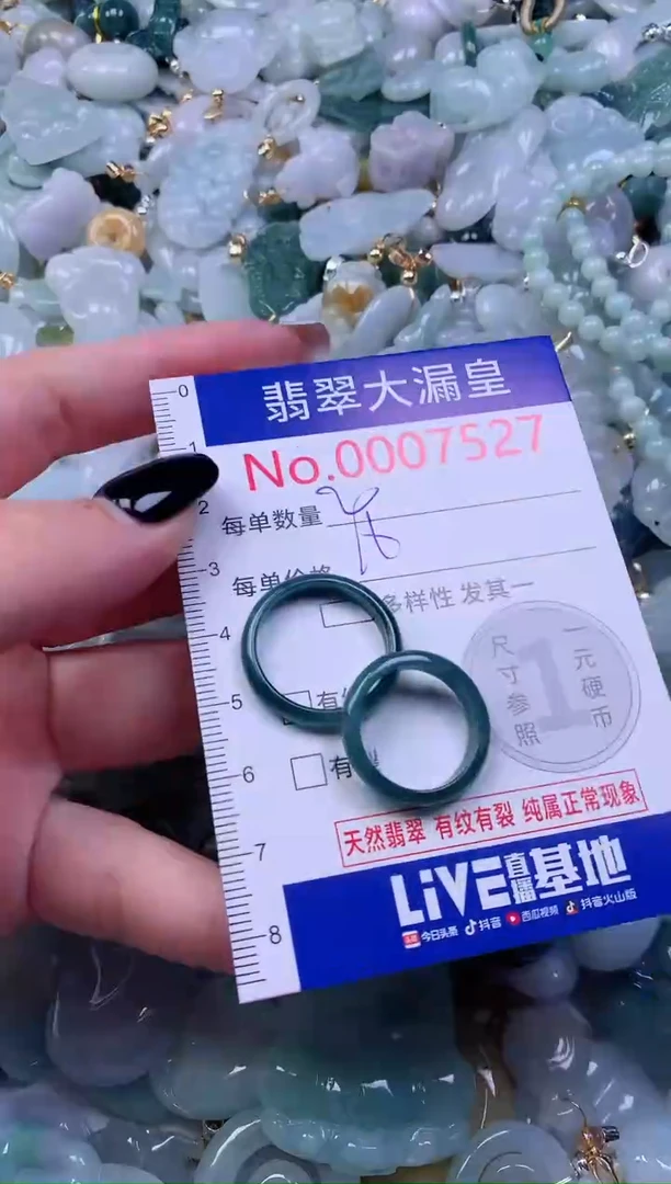 颈饰未镶嵌翡翠7572