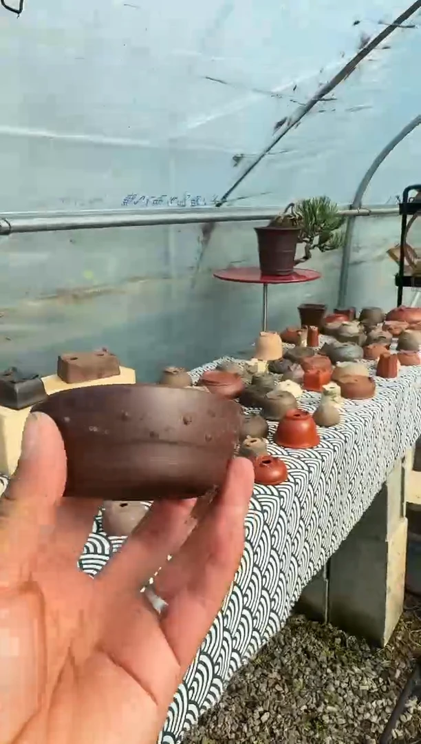 ?**y花盆闪购定向链接