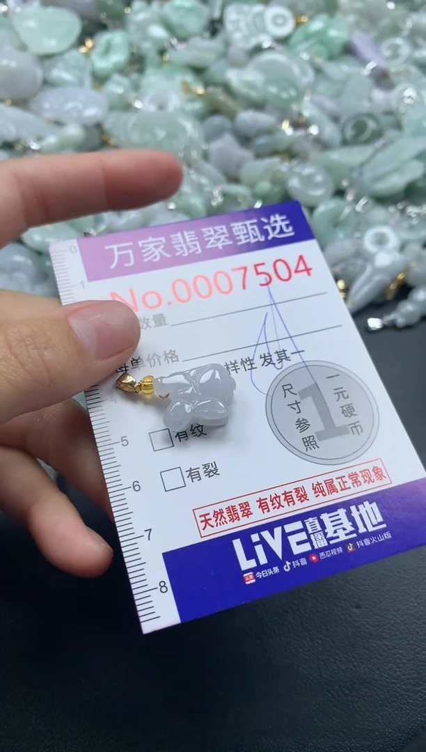 吊坠(不含链)未镶嵌翡翠7504