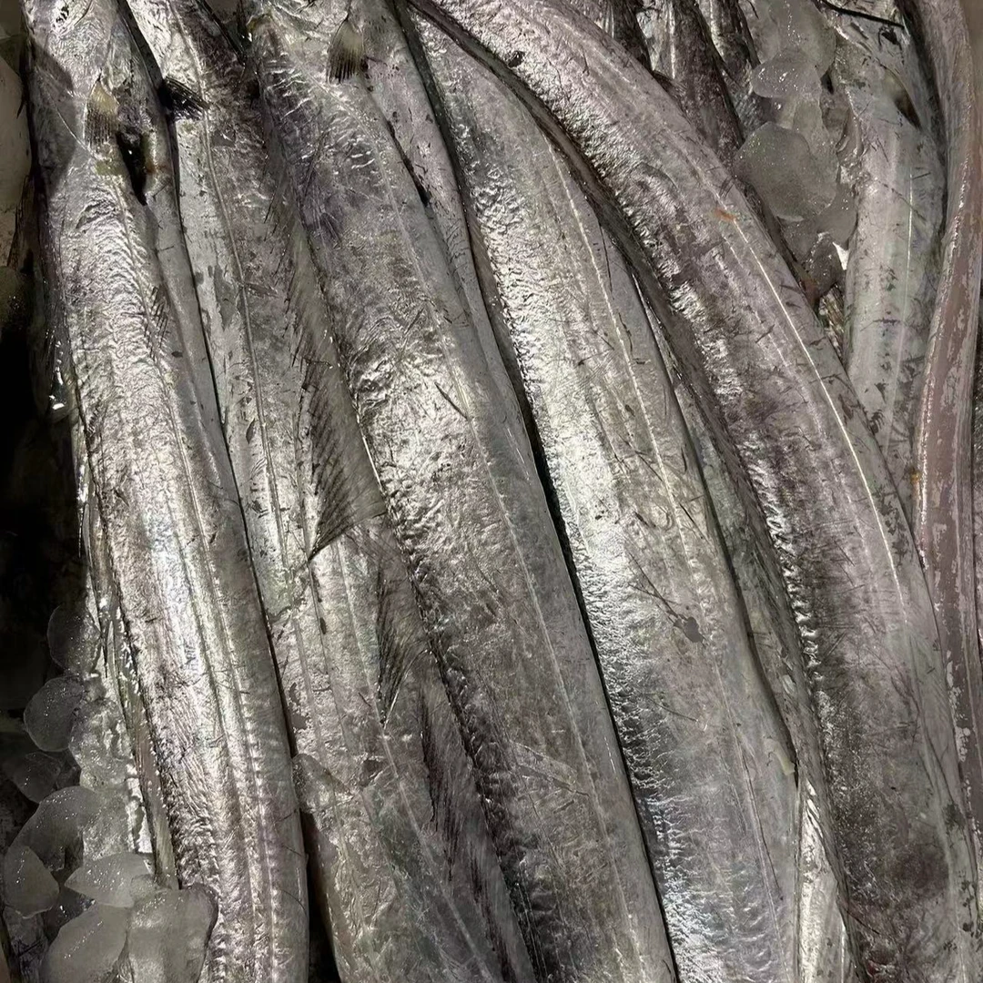 【莫小弟现称瑕疵油带鱼小眼带鱼】宁波石浦海鲜海捕东海本地小带鱼