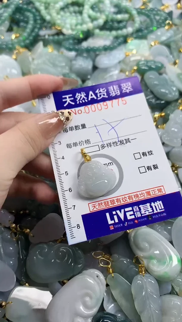 颈饰未镶嵌翡翠天然A货翡翠