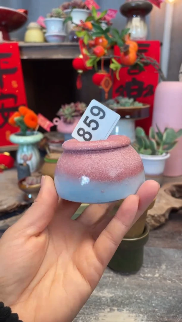 【闪购商品】摆件859知木小芳花盆