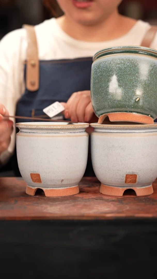 7-10-158花盆口径8混发1个