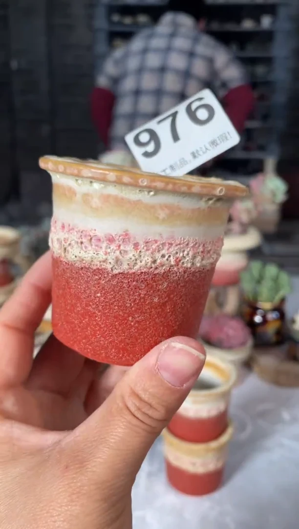 瓷片976小芳直播编号