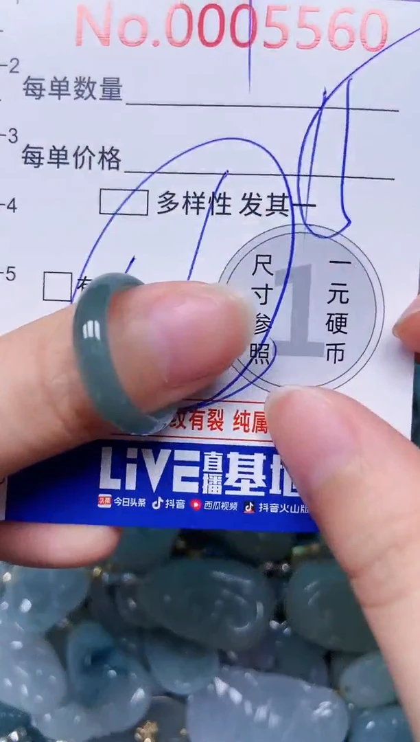【闪购商品】翡翠颈饰未镶嵌闪购00005560
