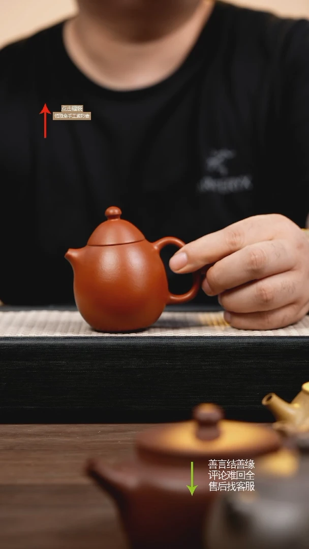 茶壶紫砂朱泥龙蛋壶