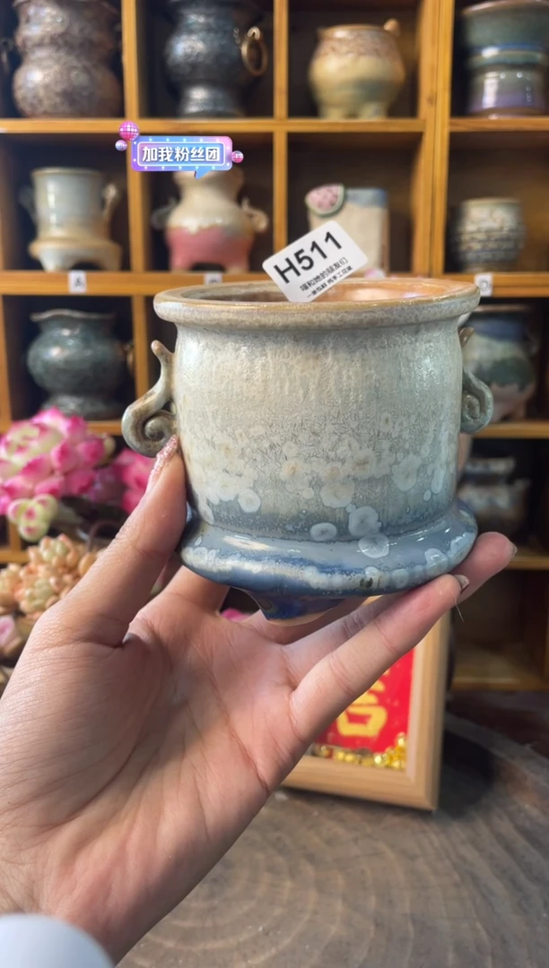 x*511【多肉花盆多肉盆】1