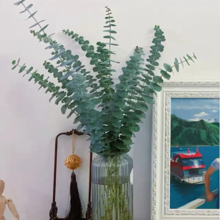 【尤加利叶次日达】家居用花日达鲜花花店同款送人送礼今天拍明天到