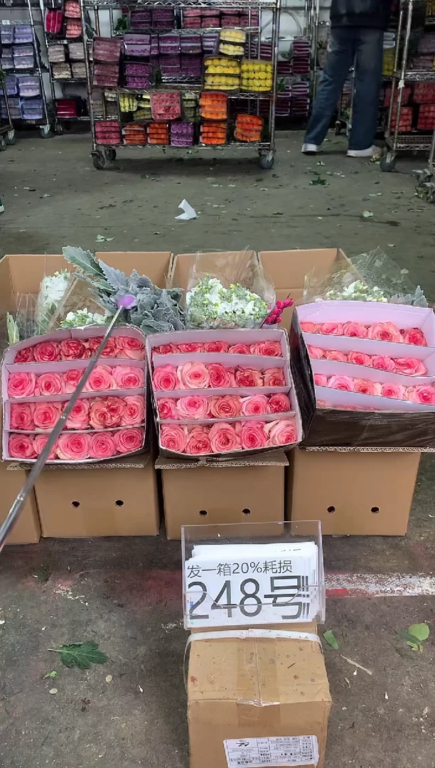 248号♥中通含20%耗损发一箱鲜花