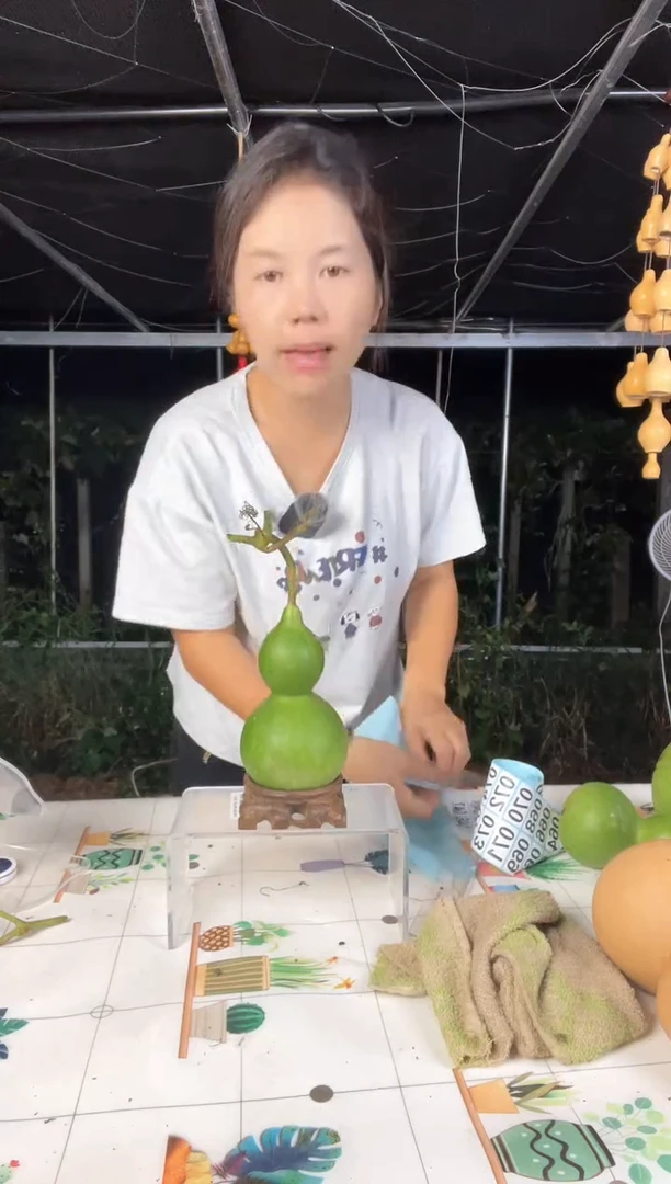043天然葫芦摆件 一物一拍龙头不保售后