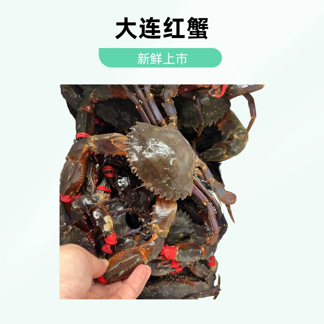 大连本地赤甲红蟹 保鲜不保活 顺丰到家 3斤起螃蟹蟹同城配送
