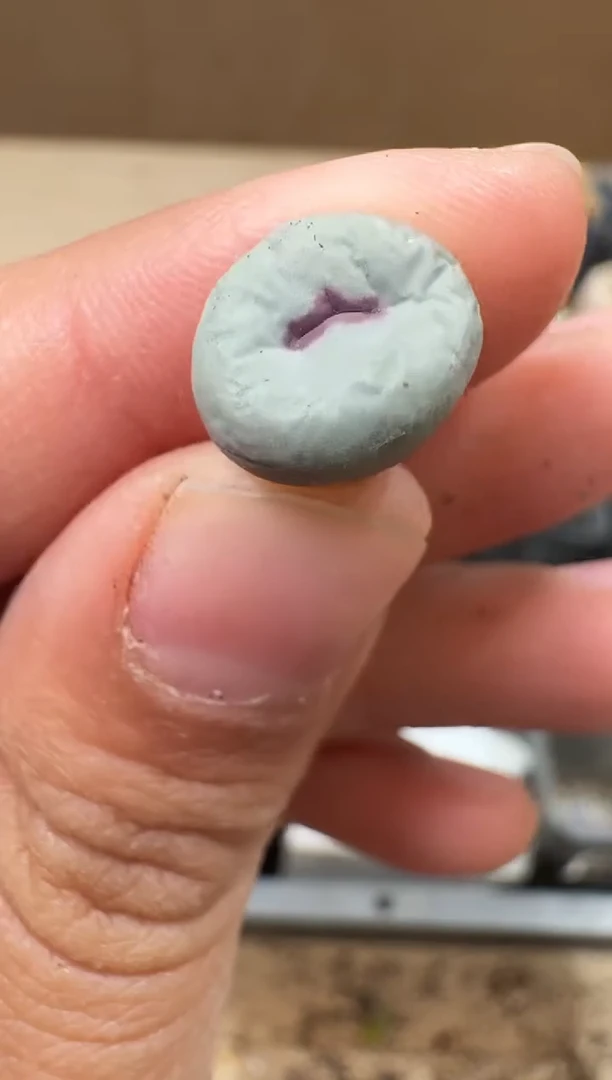 多肉植物肉锥16-110....se