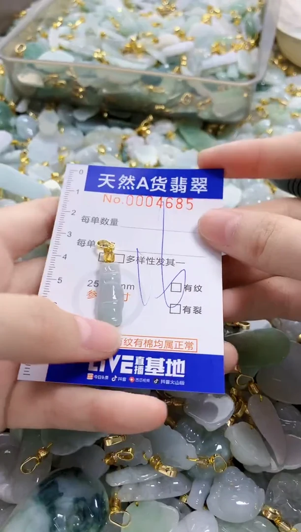 颈饰未镶嵌翡翠天然A货翡翠