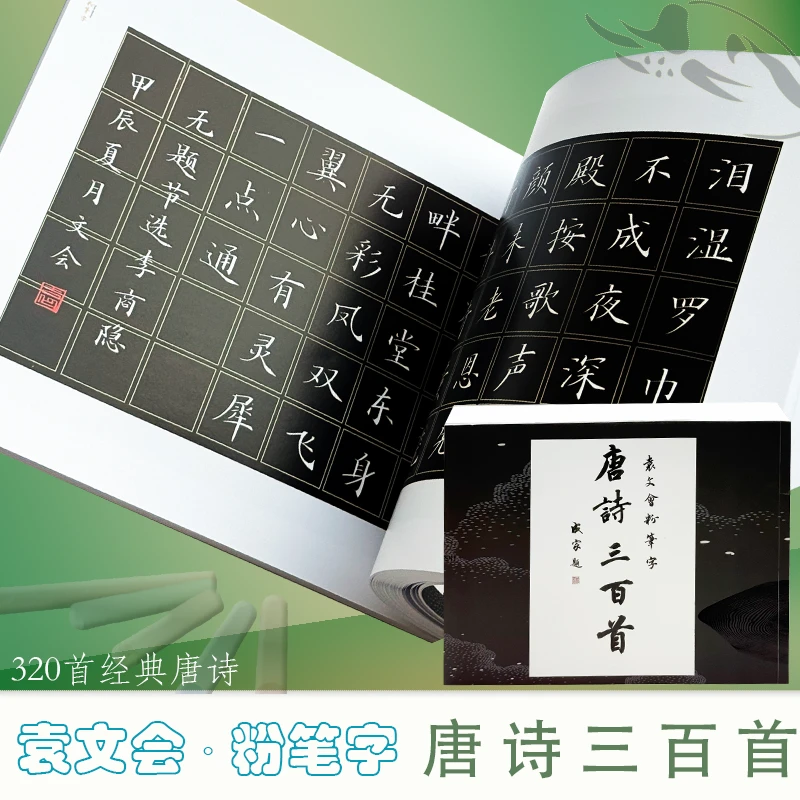 袁文会粉笔字临摹练习作品集袁袁老师硬笔书法正楷楷书练字帖