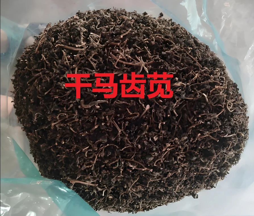 【修水电商卢校长助农】农户采摘自晒干马齿苋