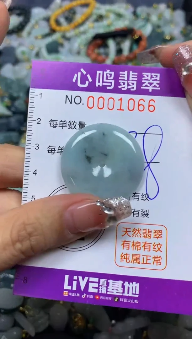 【闪购商品】翡翠颈饰未镶嵌闪购001066