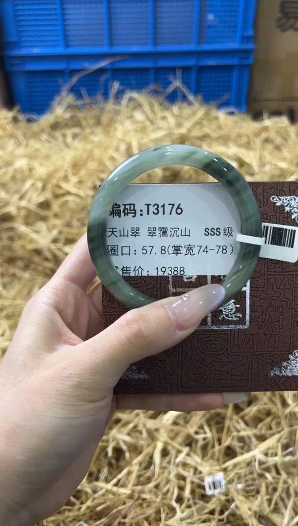 未镶嵌手镯石英质玉T3176