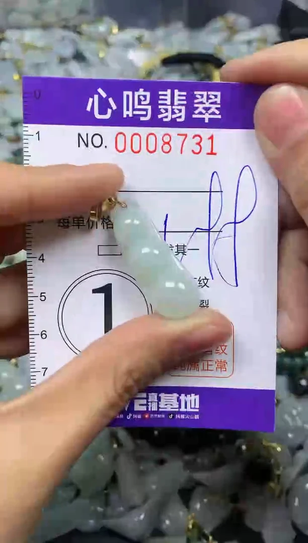 【闪购商品】翡翠颈饰未镶嵌闪购008731