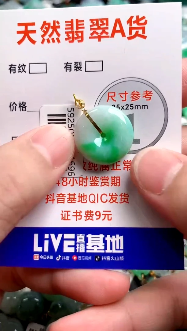 翡翠18K金镶嵌颈饰0465791356