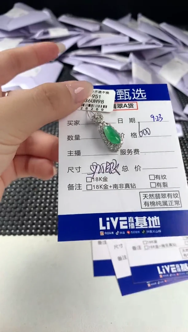 颈饰银S925镶嵌翡翠@**塔66