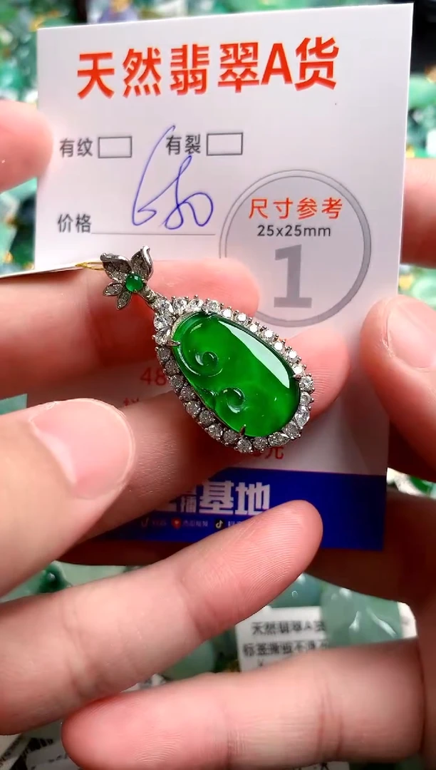翡翠未镶嵌颈饰0415223911