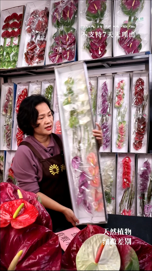 完全开放混色20支无售后款103