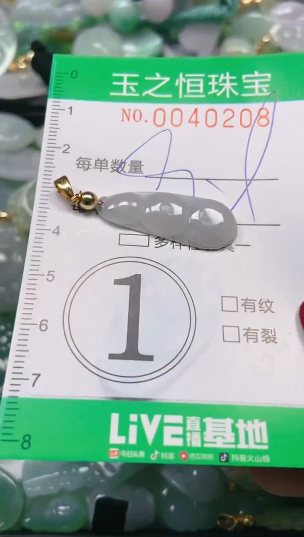 【闪购商品】翡翠颈饰未镶嵌闪购0040208