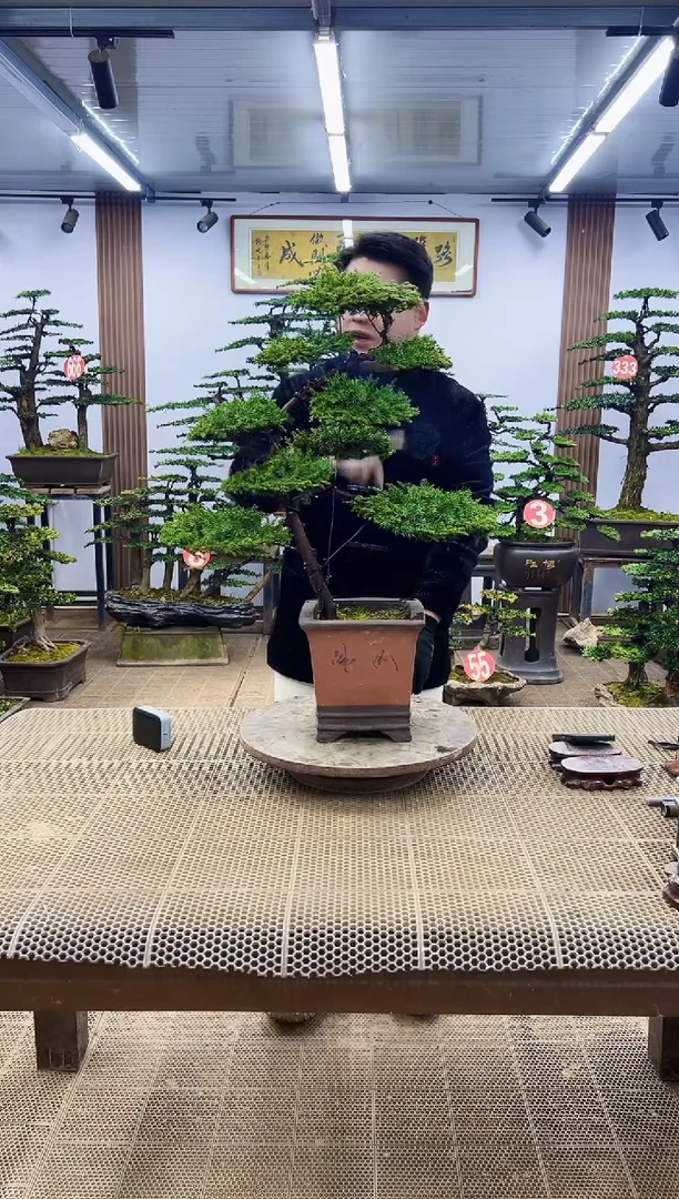 【闪购商品】00000000