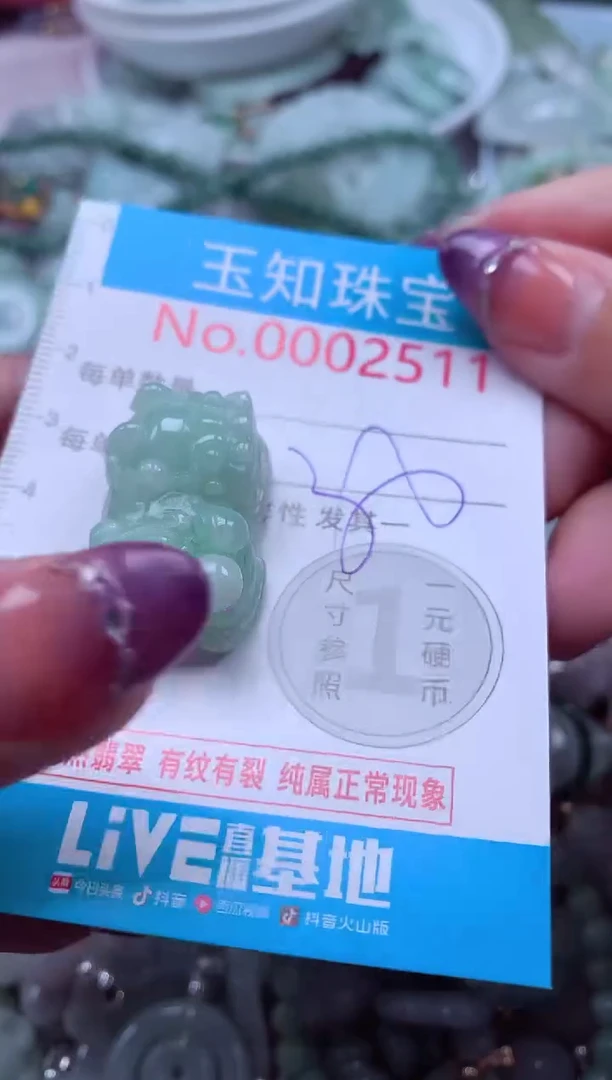 翡翠未镶嵌吊坠(不含链)2511